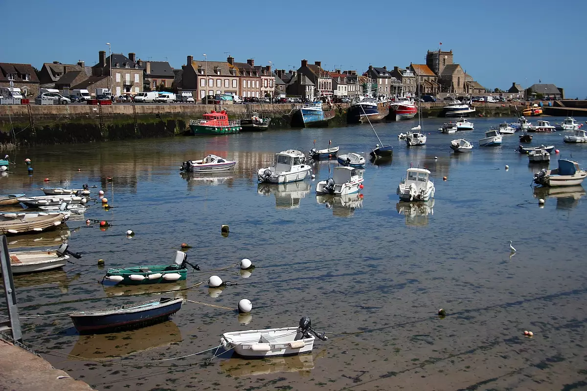 49T-barfleur