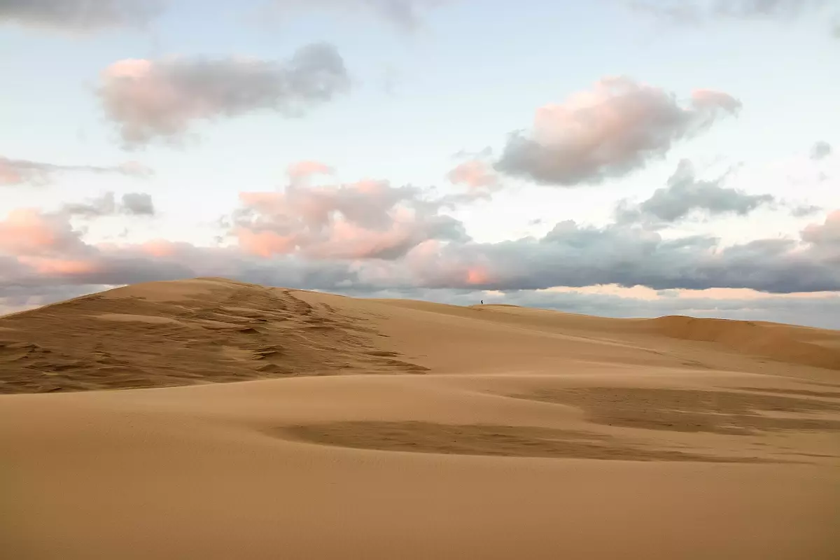 49T-dune.du.pilat