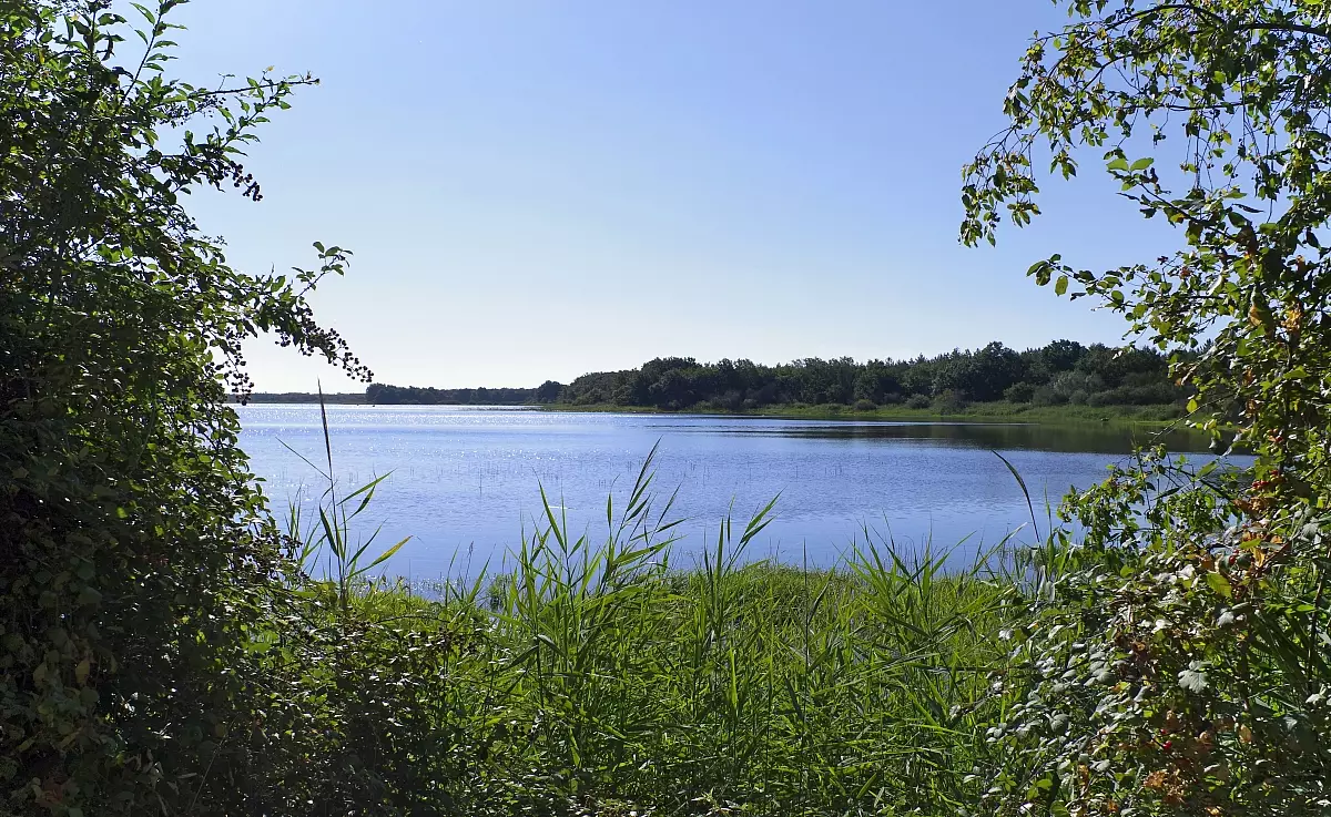 49T-teich2