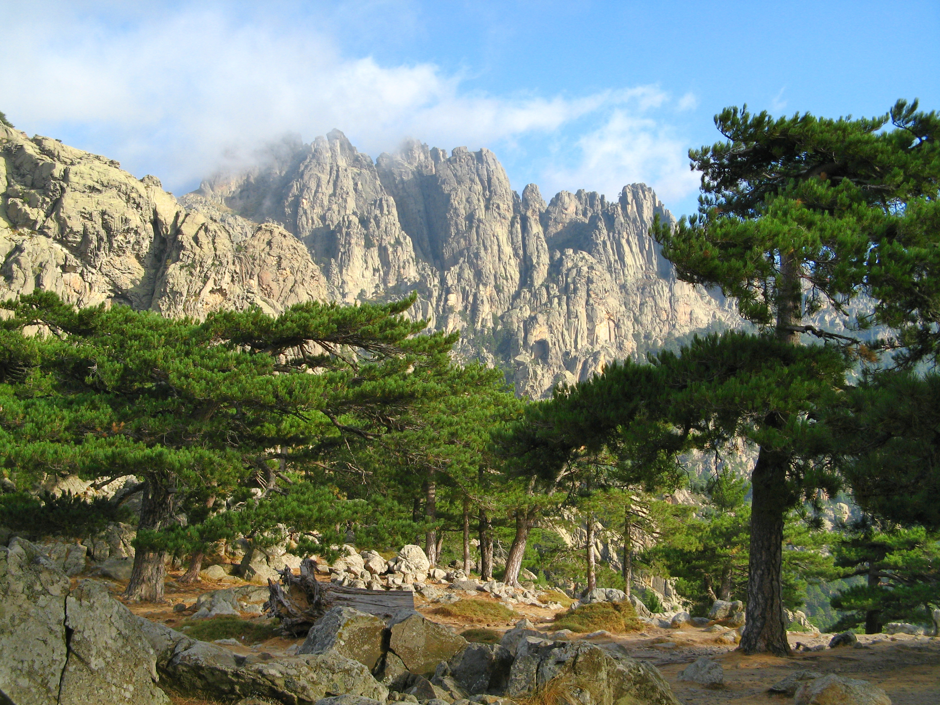 Aiguilles_de_Bavella_depuis_le_Col_de_Bavella
