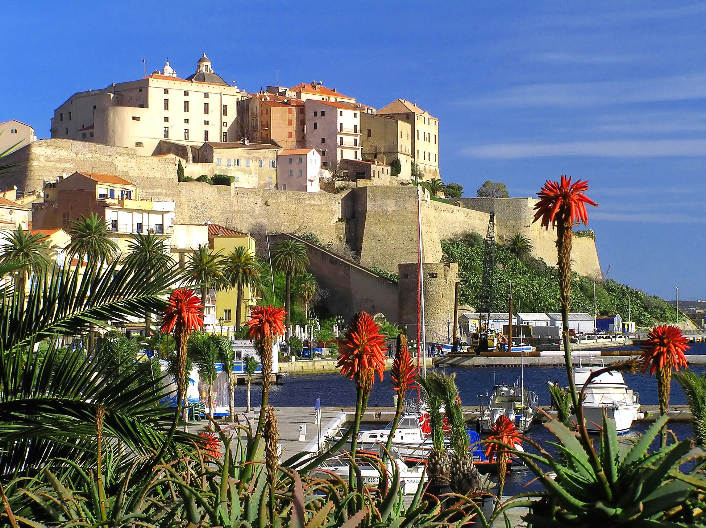Calvi-Semper_fidelis