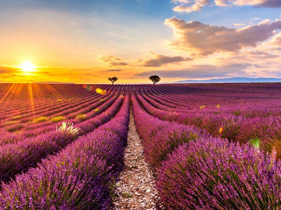 Natural and cultural heritage of Provence