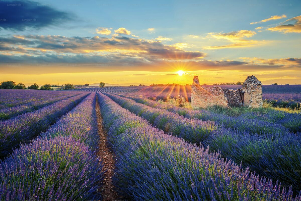 Provence Riviera
